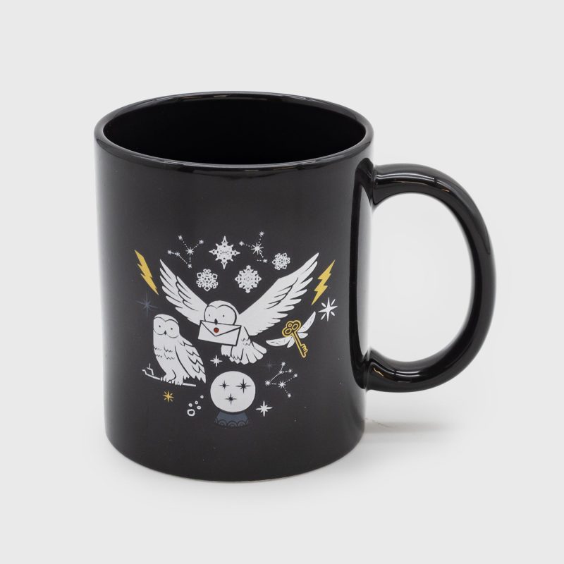 HPM021A HarryPotter GiftSet Mug G