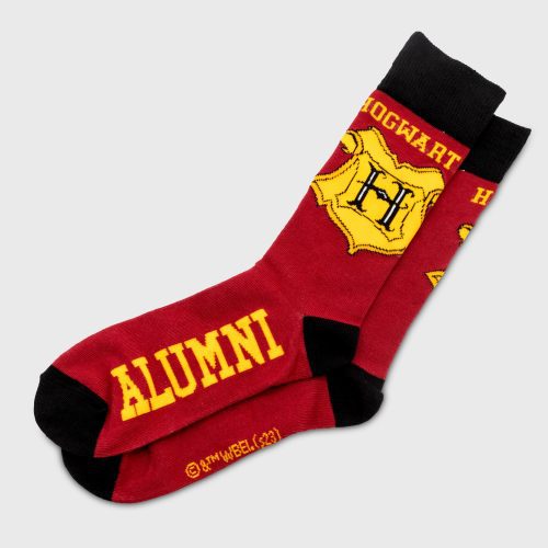 HPM070A HarryPotter StationerySocksBundle Socks 1 G