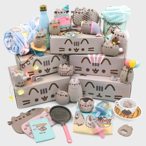 Pusheen Amazon MainImage 5